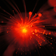 Imagen: Public Domain (Phys.org)